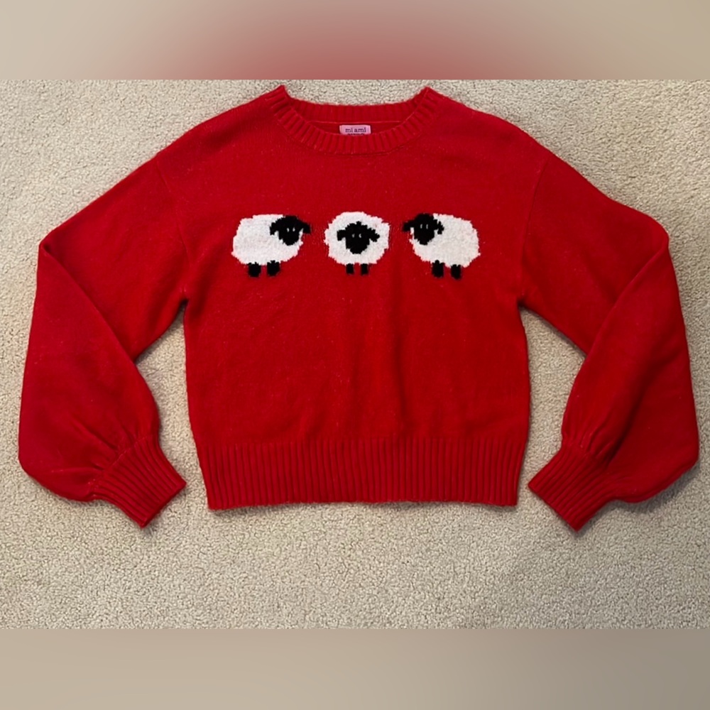 Cropped Francesca’s Sweater